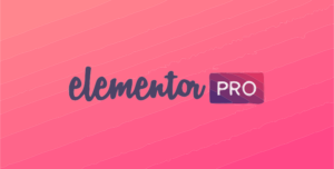 Elementor Pro