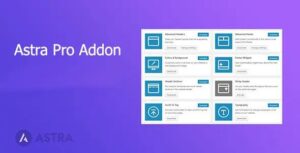 Astra Pro Addon Original License